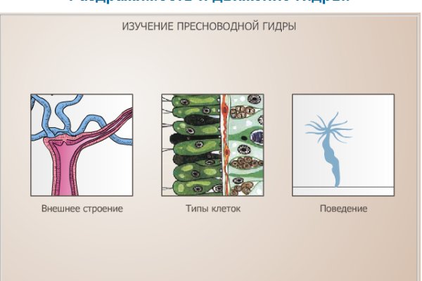 Кракен даркнет лол