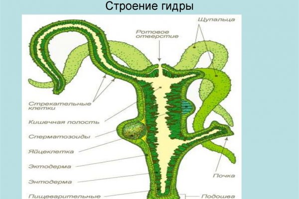 Ссылка на кракен официальный