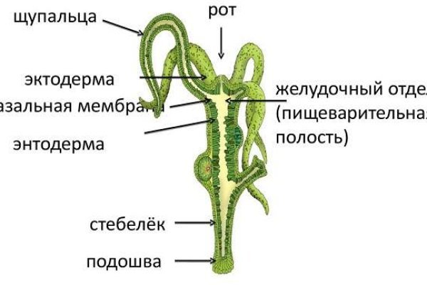 Кракен форум